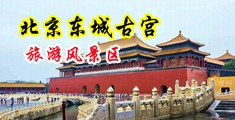 成年人可以看的操逼视频中国北京-东城古宫旅游风景区